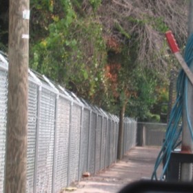 Barbed Wire Fencing Tampa