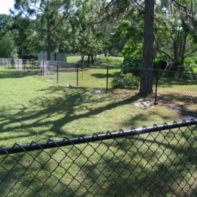 Chain Link Fencing Screening Tampa