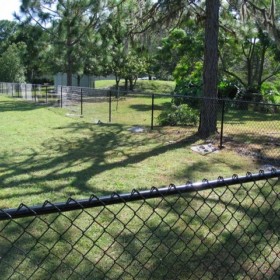 Chain Link Fencing Screening Tampa