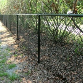 Color Coated Chain Link Fencing Tampa