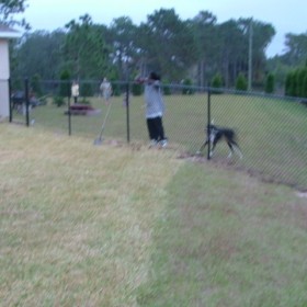 Tampa Residential Chain Link Fence Installer