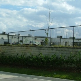 Tampa Residential Chain Link Fencing